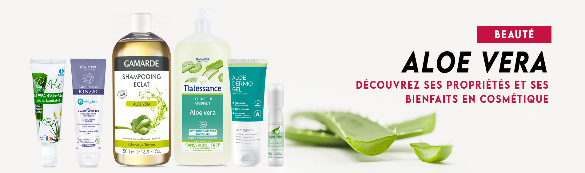 Aloe vera : bienfaits cosmétiques