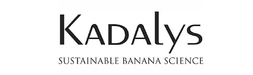 Kadalys