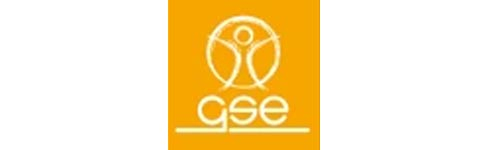 GSE
