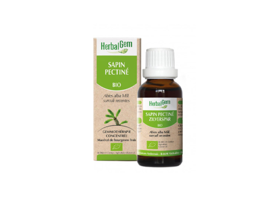 Herbalgem Macérat-Mère Concentré Sapin Pectiné BIO - 30ml