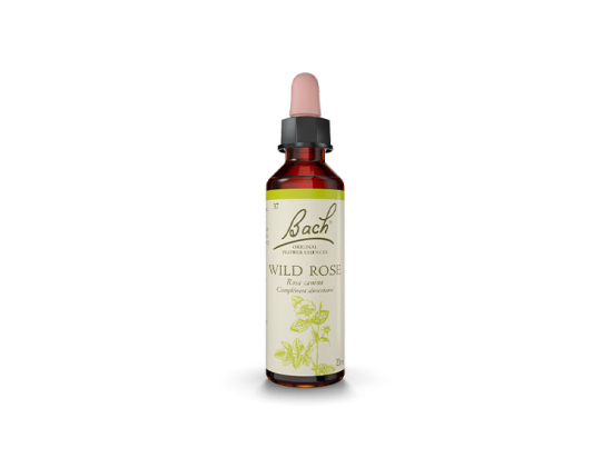 Fleur de Bach n°37 Wild Rose - 20ml