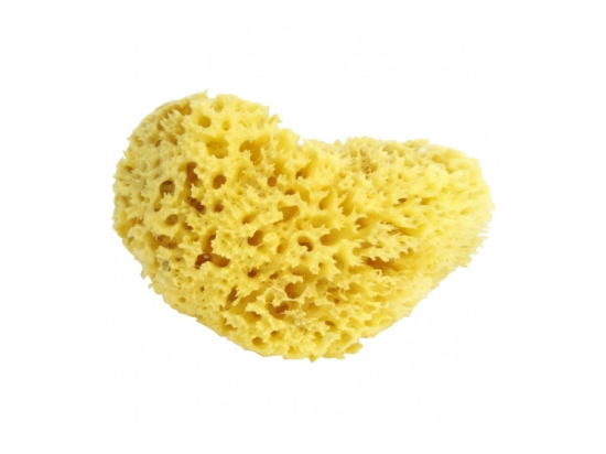 Estipharm Éponge naturelle Venise