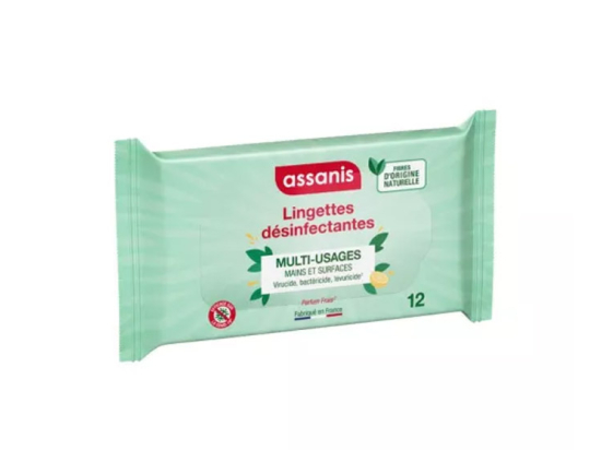 Lingettes pocket désinfectantes multi-usages - x12