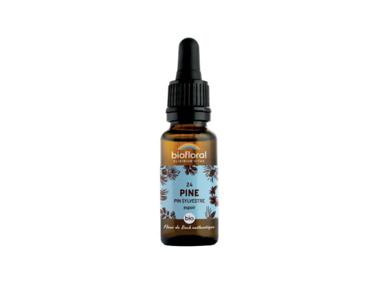 Biofloral Fleurs de Bach n°24 Pine/ Pin sylvestre BIO - 20ml