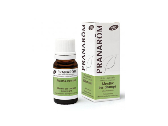 Pranarôm Huile essentielle de Menthe des champs BIO - 10ml