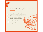 Fleur de Bach n°06 Cherry Plum - 20ml