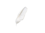 Graine de Pastel Masque gommage clarifiant BIO - 50ml