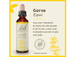 Fleur de Bach n°13 Gorse - 20ml
