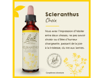 Fleur de Bach n°28 Scleranthus - 20ml
