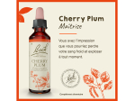 Fleur de Bach n°06 Cherry Plum - 20ml