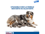 MilbemaxTab Petits chiens et chiots de 0,5 à 10kg - 2 comprimés