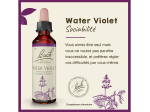 Fleur de Bach n°34 Water Violet - 20ml