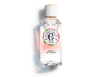 Eau Parfumée bienfaisante Fleur De Figuier - 100 ml