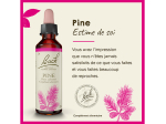 Fleur de Bach n°24 Pine - 20ml