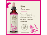 Fleur de Bach n°11 Elm - 20ml