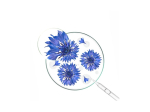 Klorane Bleuet BIO Sérum concentré hydra-repulpant à l'acide hyaluronique - 40ml