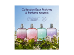 Caudalie Thé des Vignes Eau fraîche parfumée - 50ml