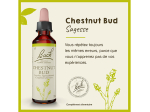 Fleur de bach n°07 Chestnut bud - 20ml