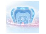 Oral-B Brosse à dents électrique Nettoyage professionnel et protection 3