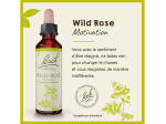 Fleur de Bach n°37 Wild Rose - 20ml