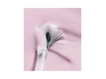 Poderm Color Care Base coat ongles Baby Pink - 8ml