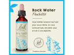 Fleur de Bach n°27 Rock Water - 20ml
