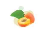 Naturactive Huile végétale Noyau abricot BIO - 50ml