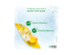 Arkopharma Activox Pastilles adoucissantes gorge sans sucres - 24 pastilles
