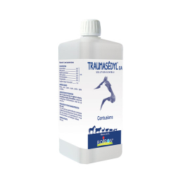 Boiron Traumasedyl GA Solution buvable - 1 L