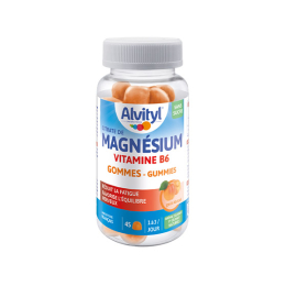 Magnésium Vitamine B6 Goût Abricot - 45 gommes