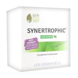 Synphonat Synertrophic goût menthol -20 sachets