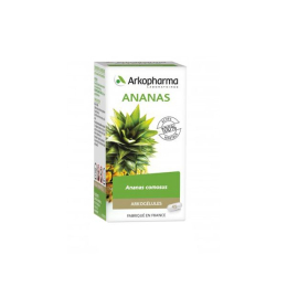 Arkopharma Arkogélules Ananas - 45 gélules