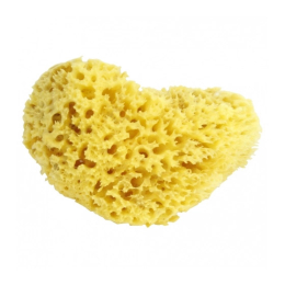 Estipharm Éponge naturelle Venise