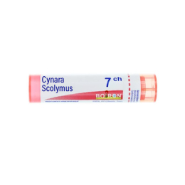 Boiron Cynara Scolymus 7CH Tube - 4 g