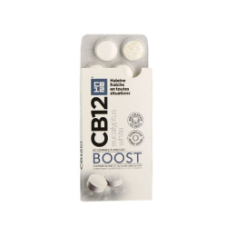 Gommes à mâcher Boost Eucalyptus White - 10 gommes