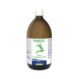Boiron Drainosyl Solution buvable - 1 L