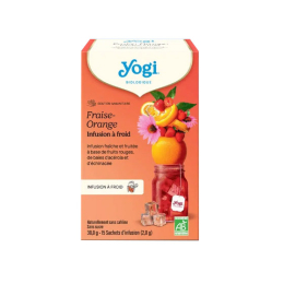 Cold Brew Fraise Orange - 15 sachets