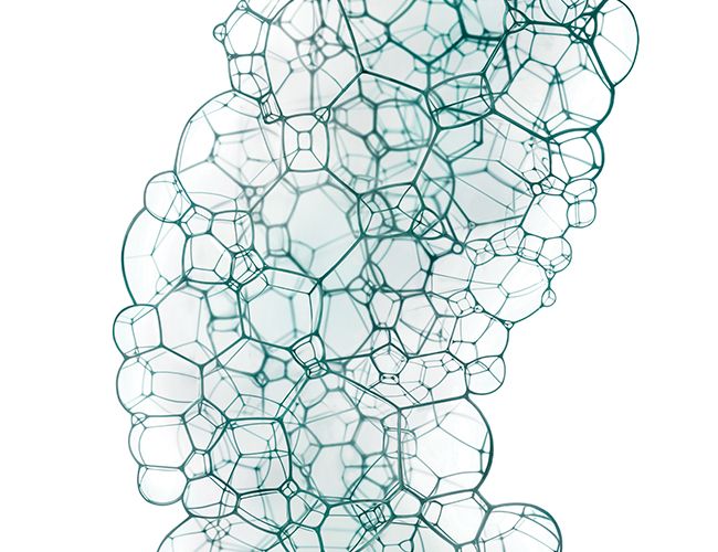 Ingrédients clés de la Mousse Nettoyante Lierac