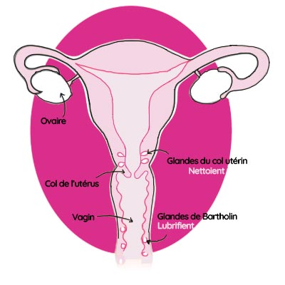 Sécheresse vaginale