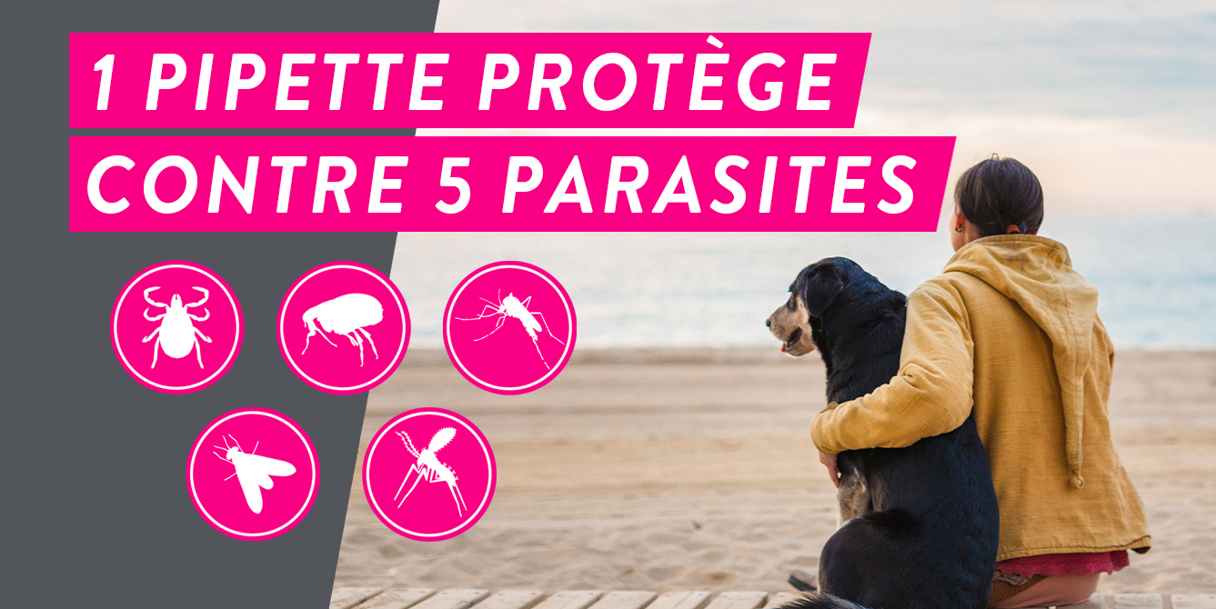 Frontline tri-Act protège contre 5 parasites