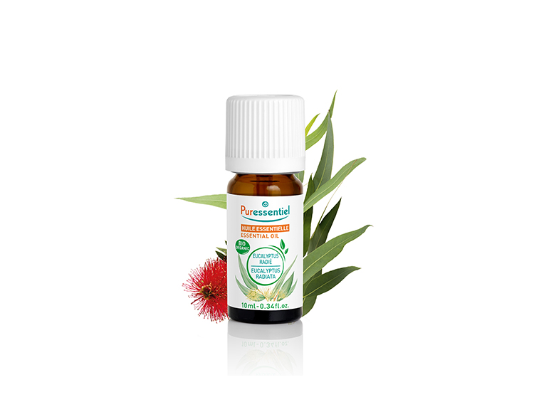Puressentiel Huile essentielle Eucalyptus radié BIO - 10ml