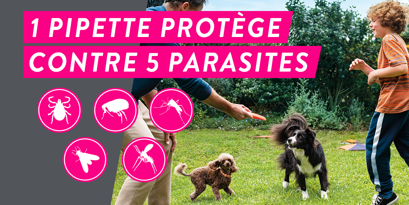 Frontline tri-Act protège contre 5 parasites
