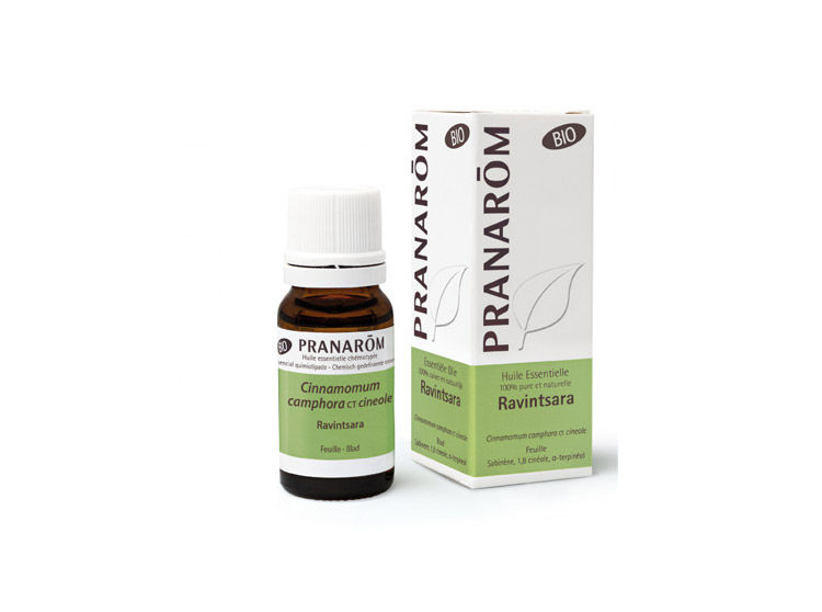 Pranarôm Huile Essentielle de Ravintsara BIO - 10ml