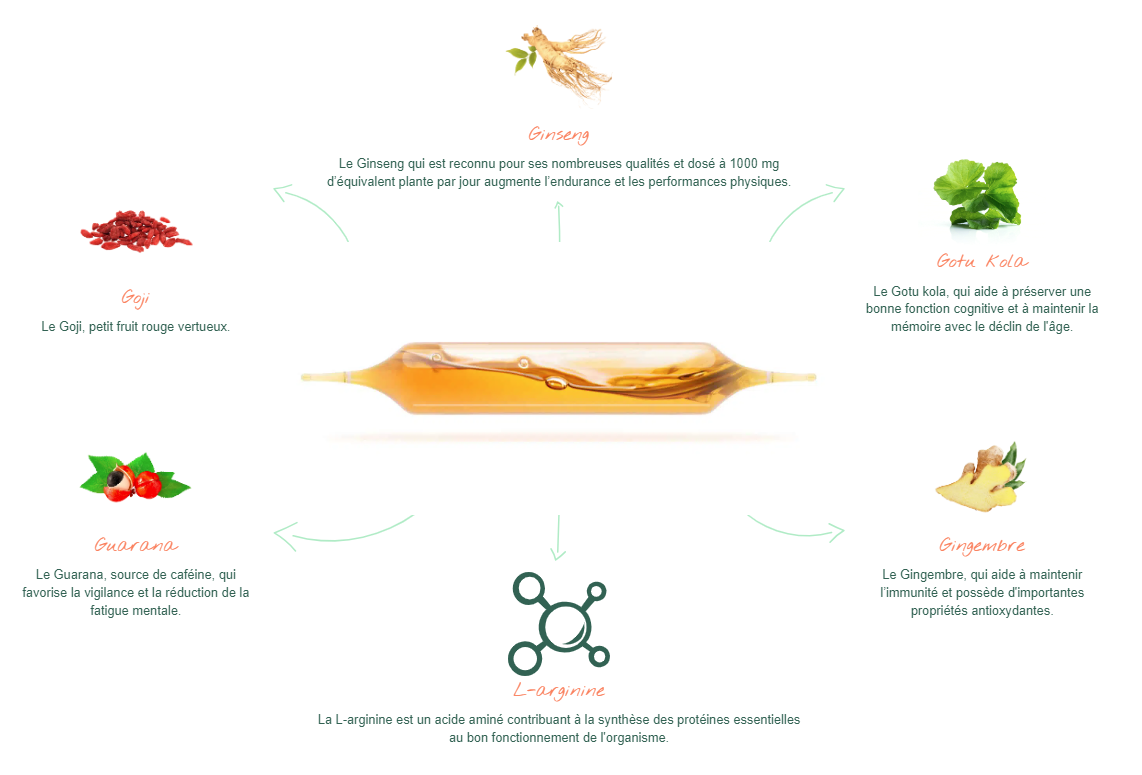 Bénéfices et principes actifs des ampoules Stim e