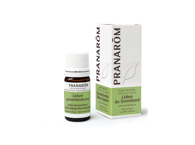 Pranarôm Huile essentielle de Lédon du Groenland - 5ml