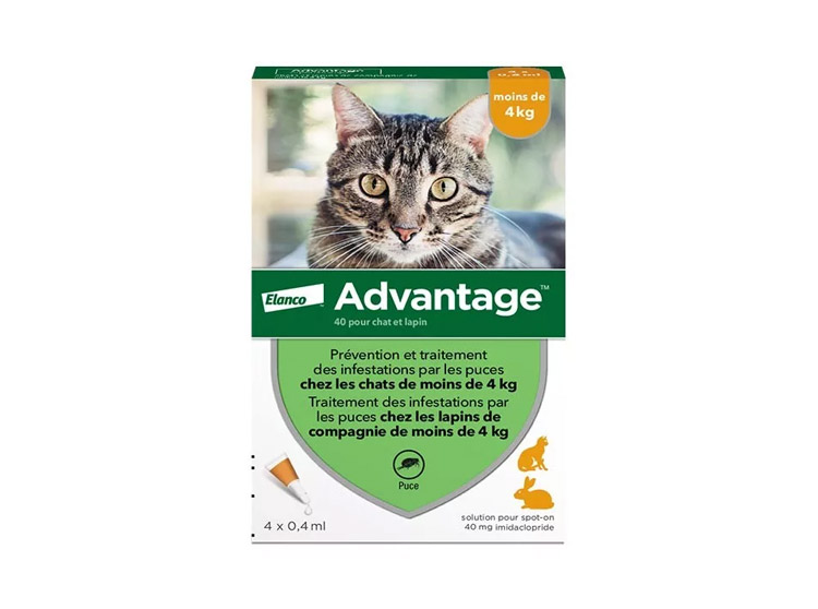 Advantage 40 Chat et Lapin de moins de 4 kg - 4 pipettes de 0,4 ml