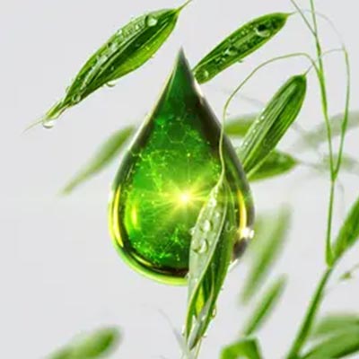 Extrait d'avoine rhealba