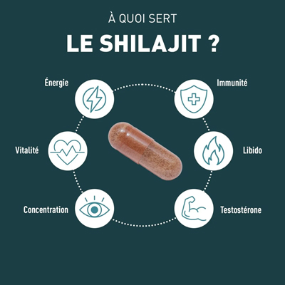 Les bienfaits du Shilajit 