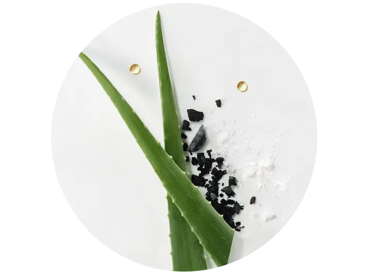 Aloe Vera René Furterer