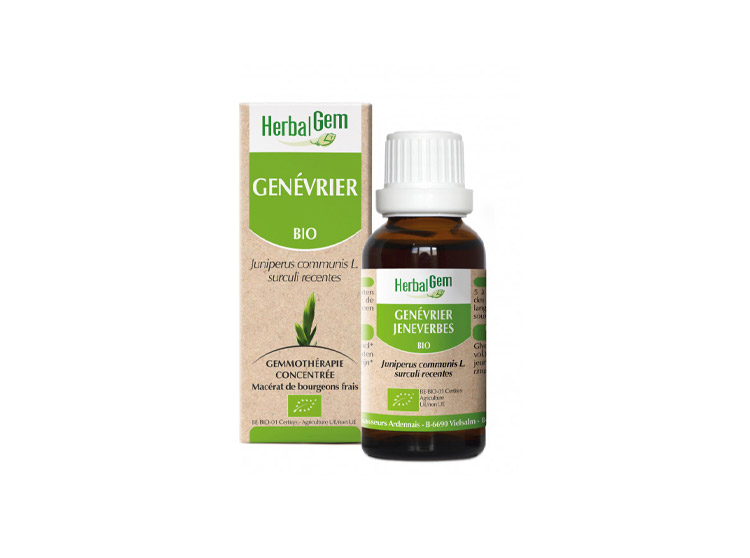 Herbalgem Macérat-Mère Concentré Genévrier BIO - 30ml
